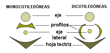 Profilos